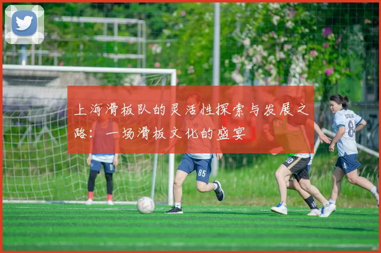 上海滑板队的灵活性探索与发展之路:一场滑板文化的盛宴