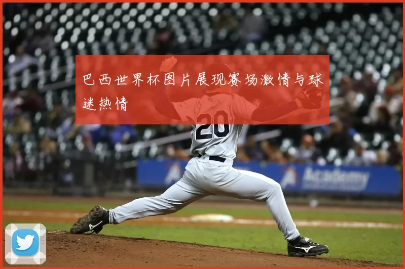 巴西世界杯图片展现赛场激情与球迷热情