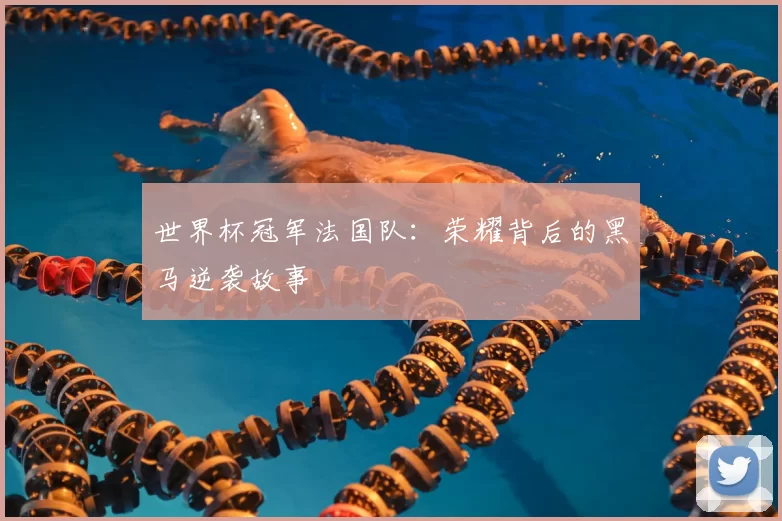 世界杯冠军法国队:荣耀背后的黑马逆袭故事