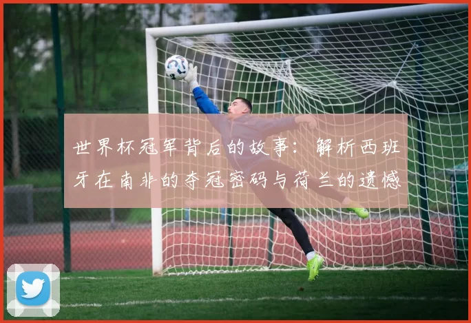 世界杯冠军背后的故事:解析西班牙在南非的夺冠密码与荷兰的遗憾。