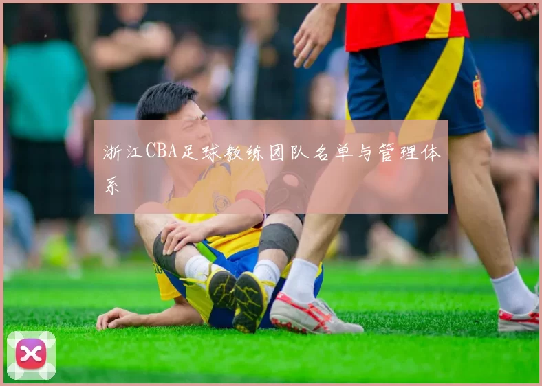浙江CBA足球教练团队名单与管理体系