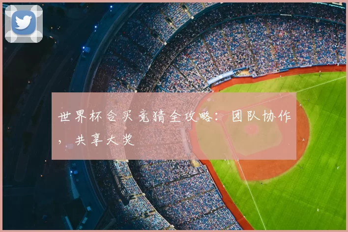 世界杯合买竞猜全攻略:团队协作,共享大奖