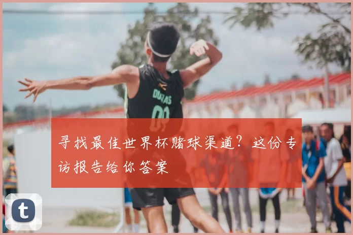 寻找最佳世界杯赌球渠道？这份专访报告给你答案