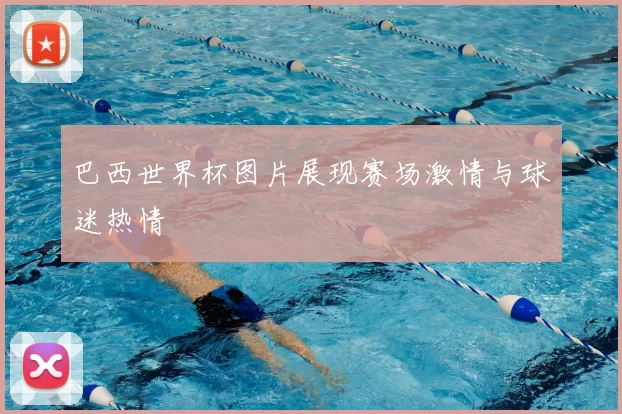 巴西世界杯图片展现赛场激情与球迷热情