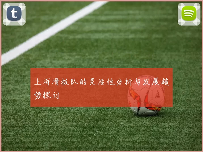 上海滑板队的灵活性分析与发展趋势探讨
