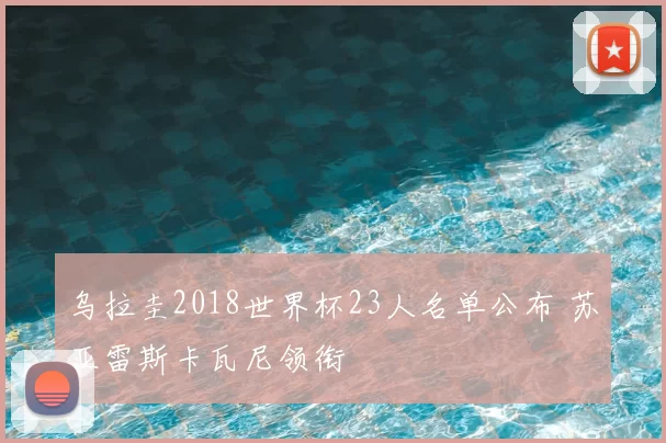 乌拉圭2018世界杯23人名单公布 苏亚雷斯卡瓦尼领衔