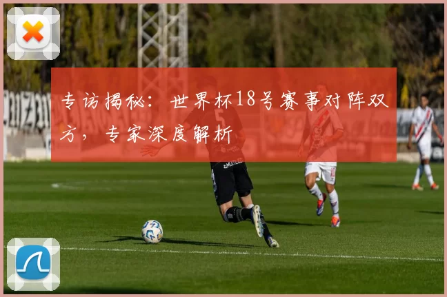 专访揭秘：世界杯18号赛事对阵双方，专家深度解析