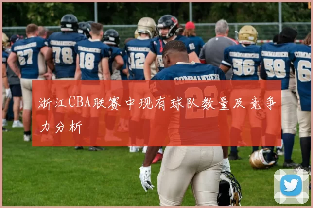 浙江CBA联赛中现有球队数量及竞争力分析