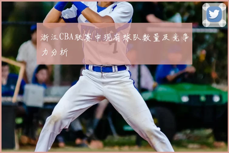 浙江CBA联赛中现有球队数量及竞争力分析