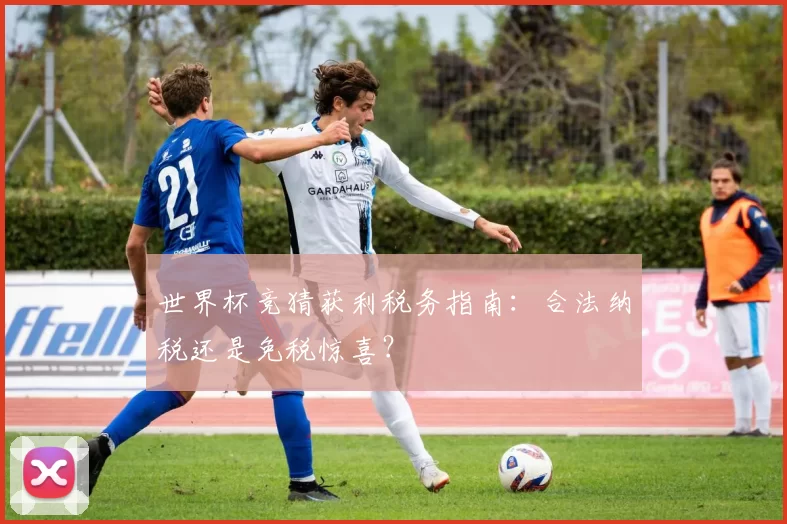 世界杯竞猜获利税务指南:合法纳税还是免税惊喜?