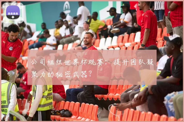 公司组织世界杯观赛:提升团队凝聚力的秘密武器?